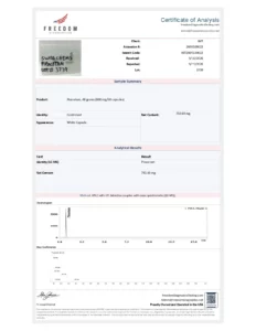 Piracetam (800mg/capsule), 60 Capsules lab report